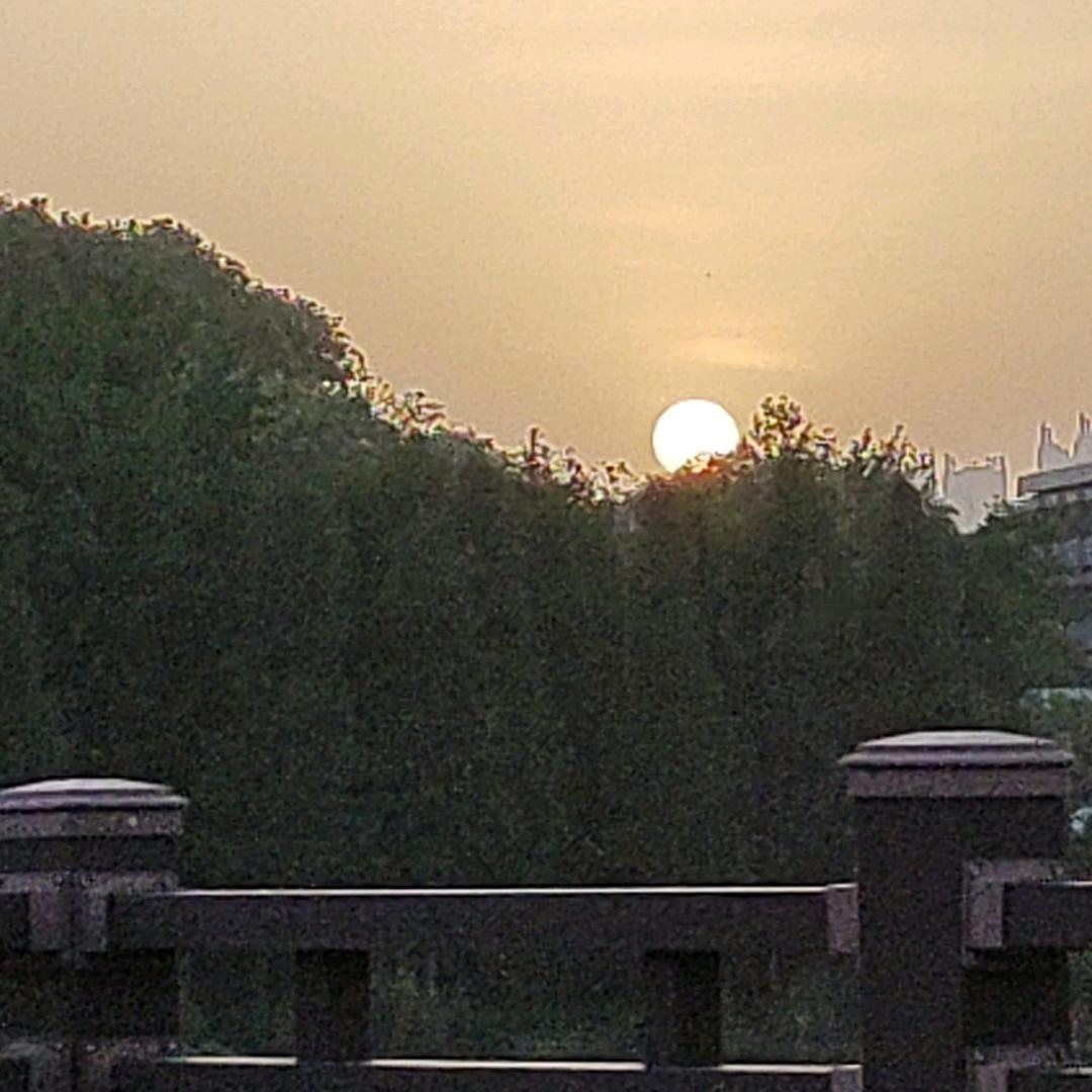 无所谓