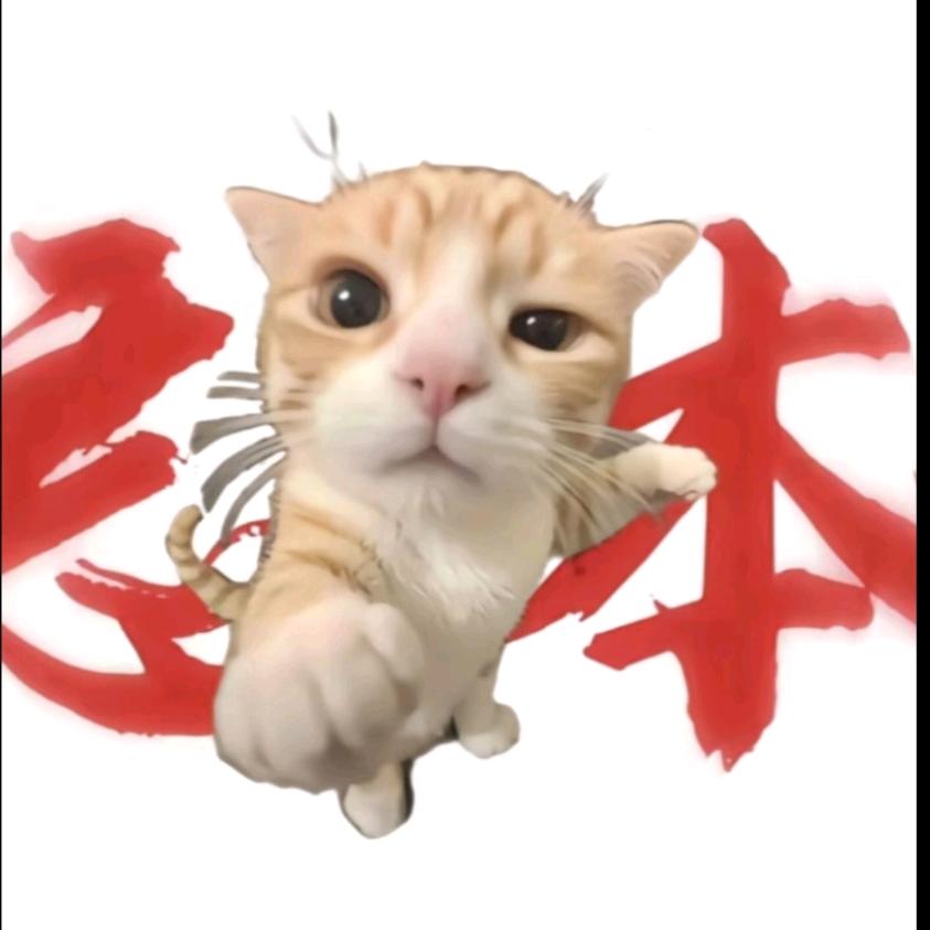 花🌸好运连连