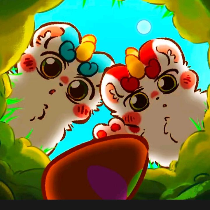 小白来了