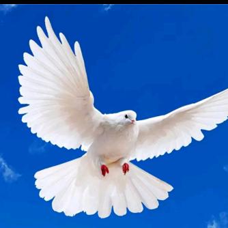 一波种养殖家庭农场