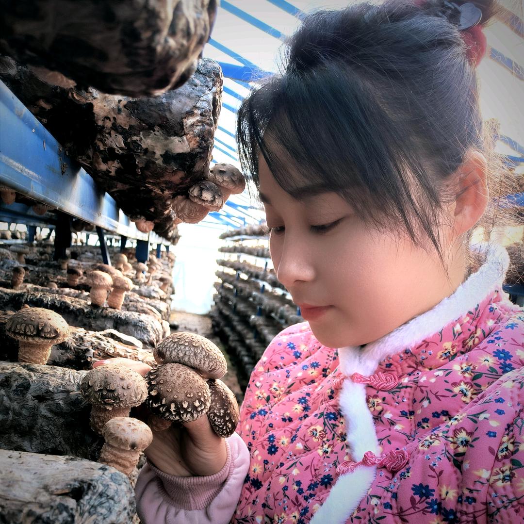 商山妞
