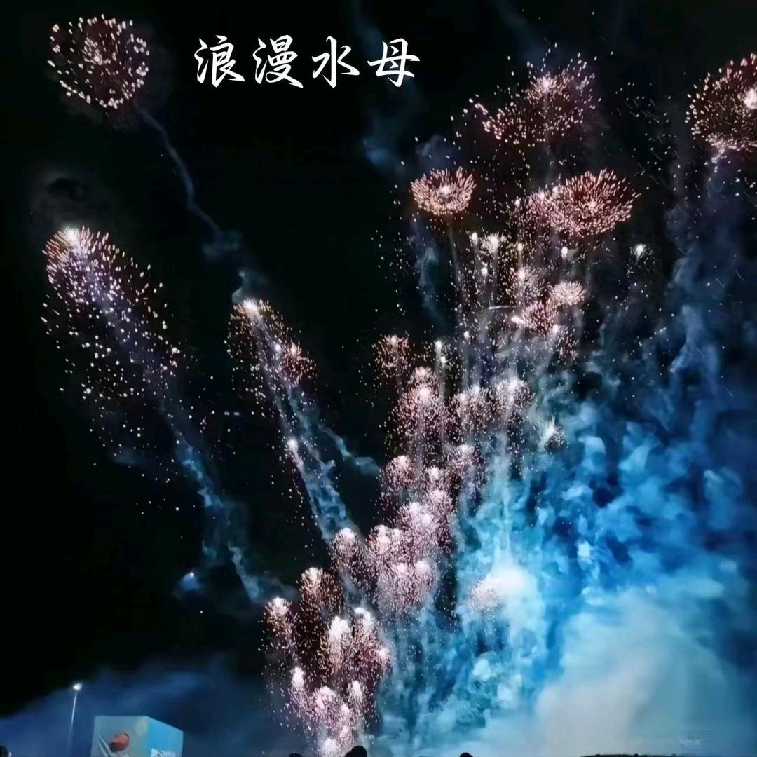 爱玩烟花的笨熊