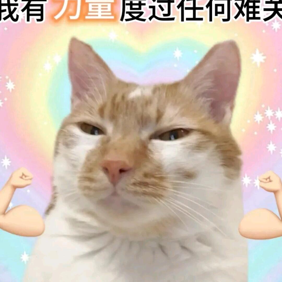 我的学习号