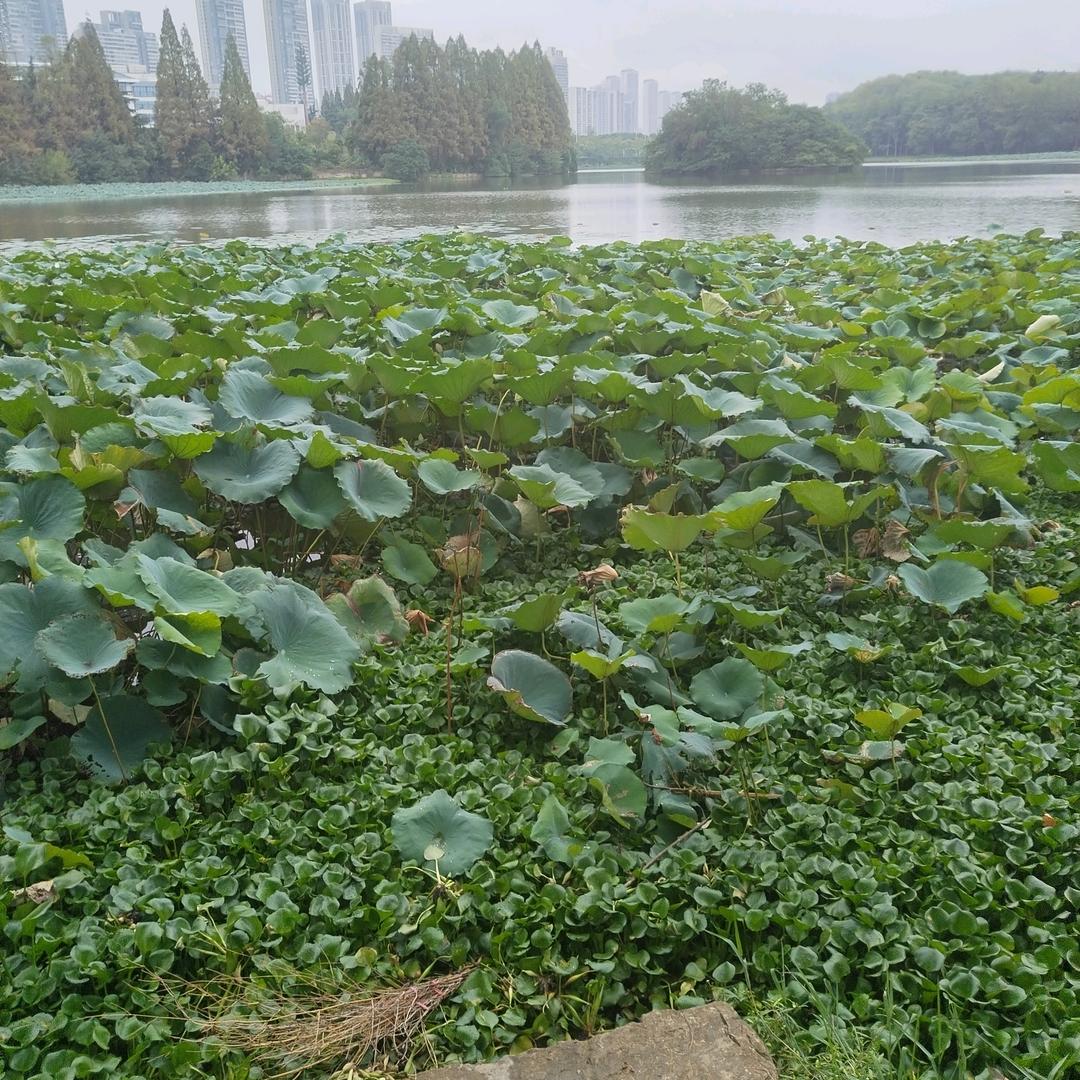 人生