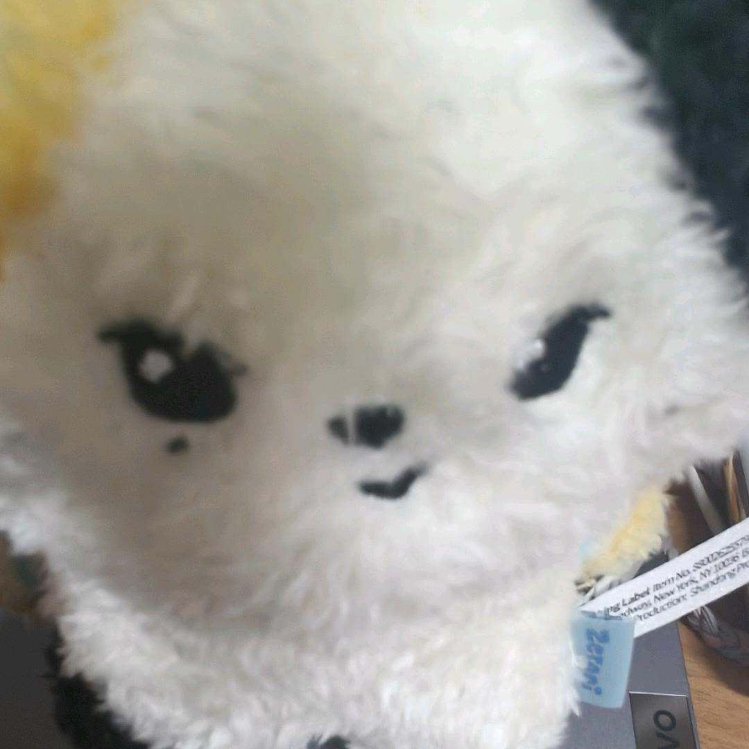 我脑子不好（见过沈泉锐版）