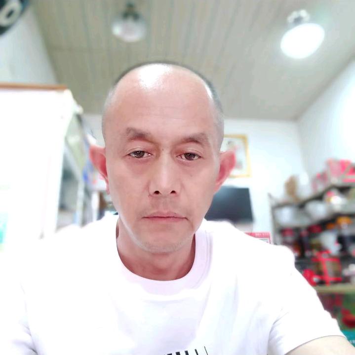 自由飞翔、