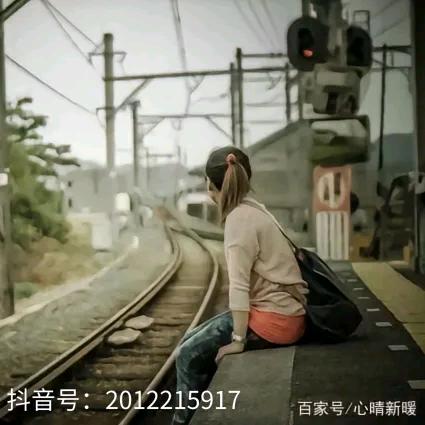 杉杉