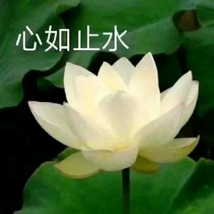健康就是金钱，廖姐