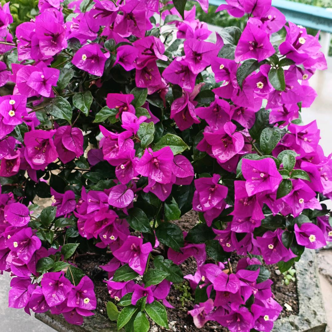 操心劳累一辈子