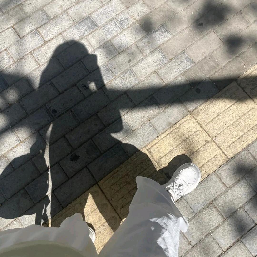 炸毛小浣熊🧸