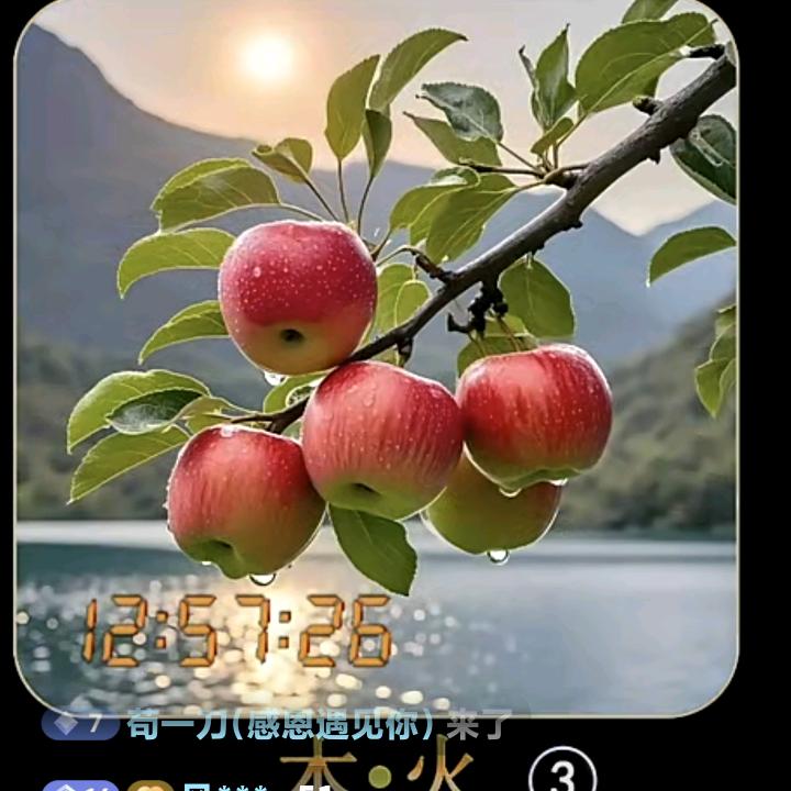 苟一刀(感恩遇见你)