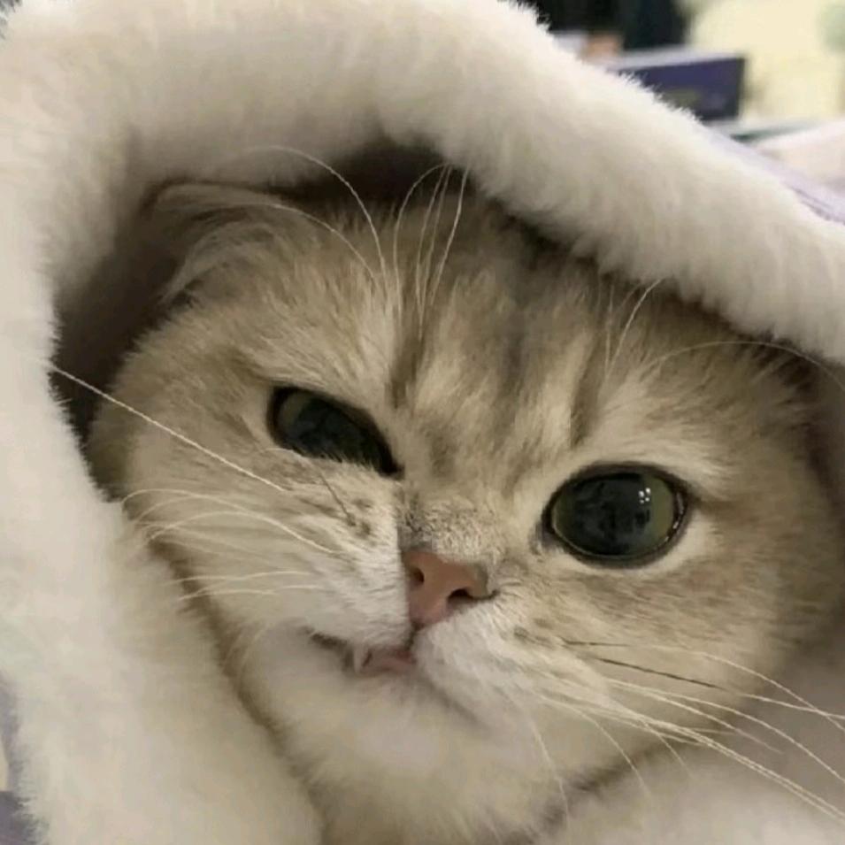 小五呐