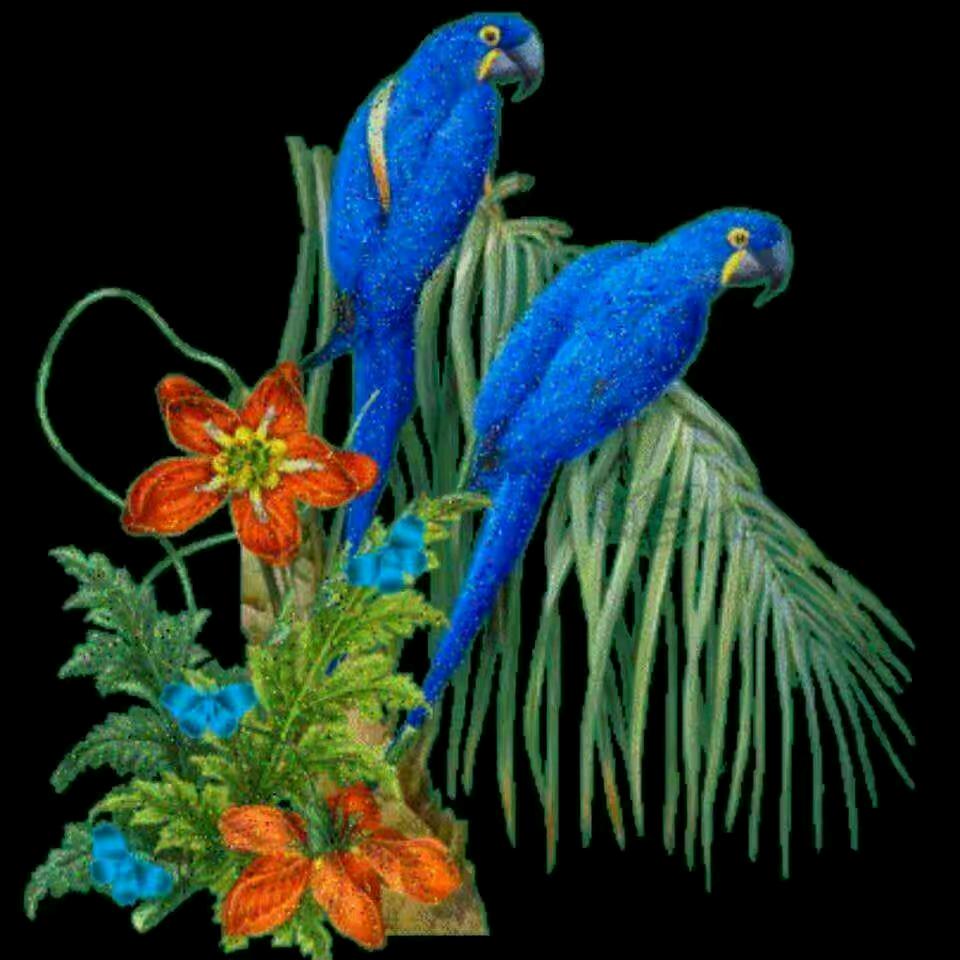 一路上有你陪伴，🇨🇳☔️👭🌴