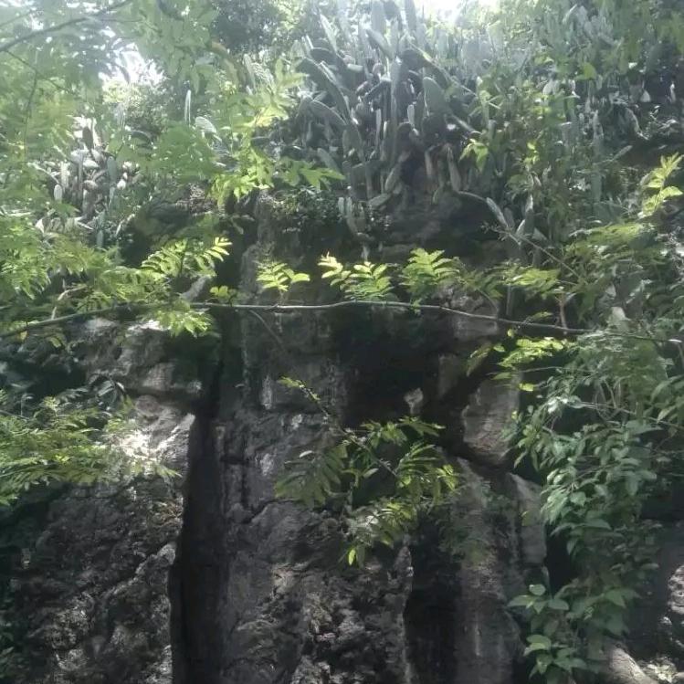 湖南湘越药业