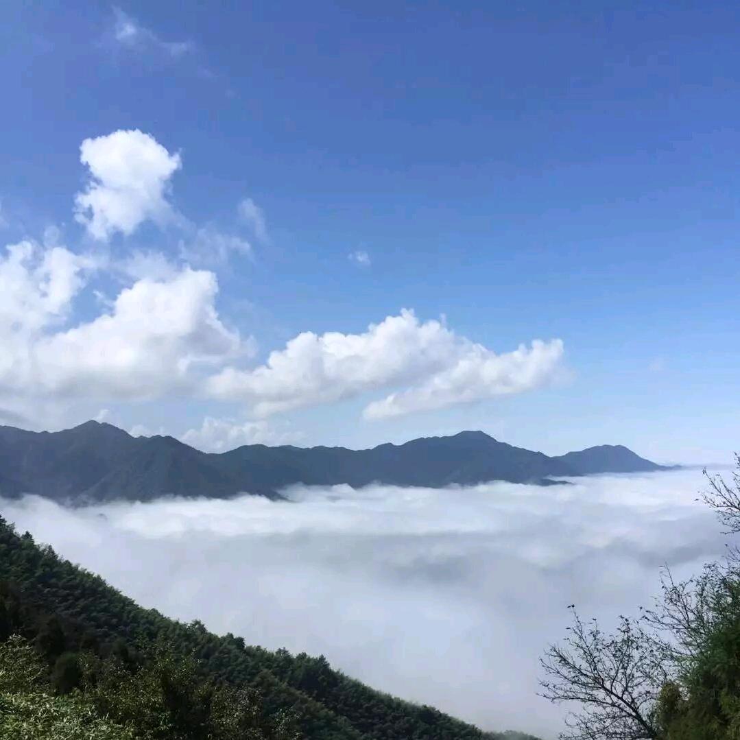 铁妹子