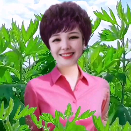 清姐