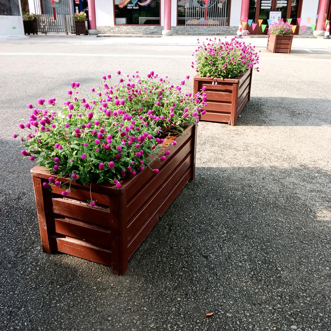 ( ˘ ³˘)❤从此以后再也