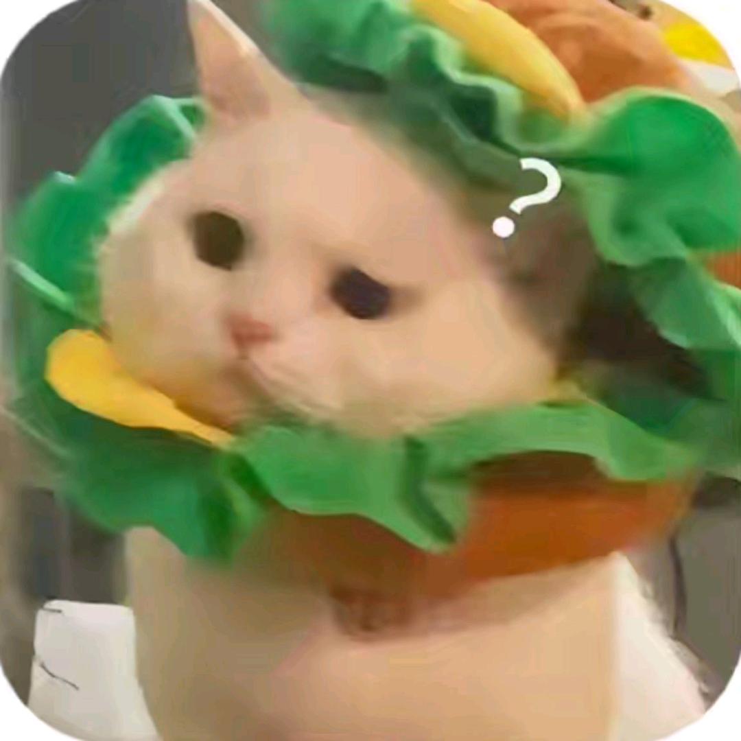 炖洋芋🥔
