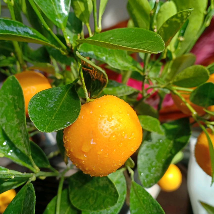 ☯风生☯水起☯靠自己💖