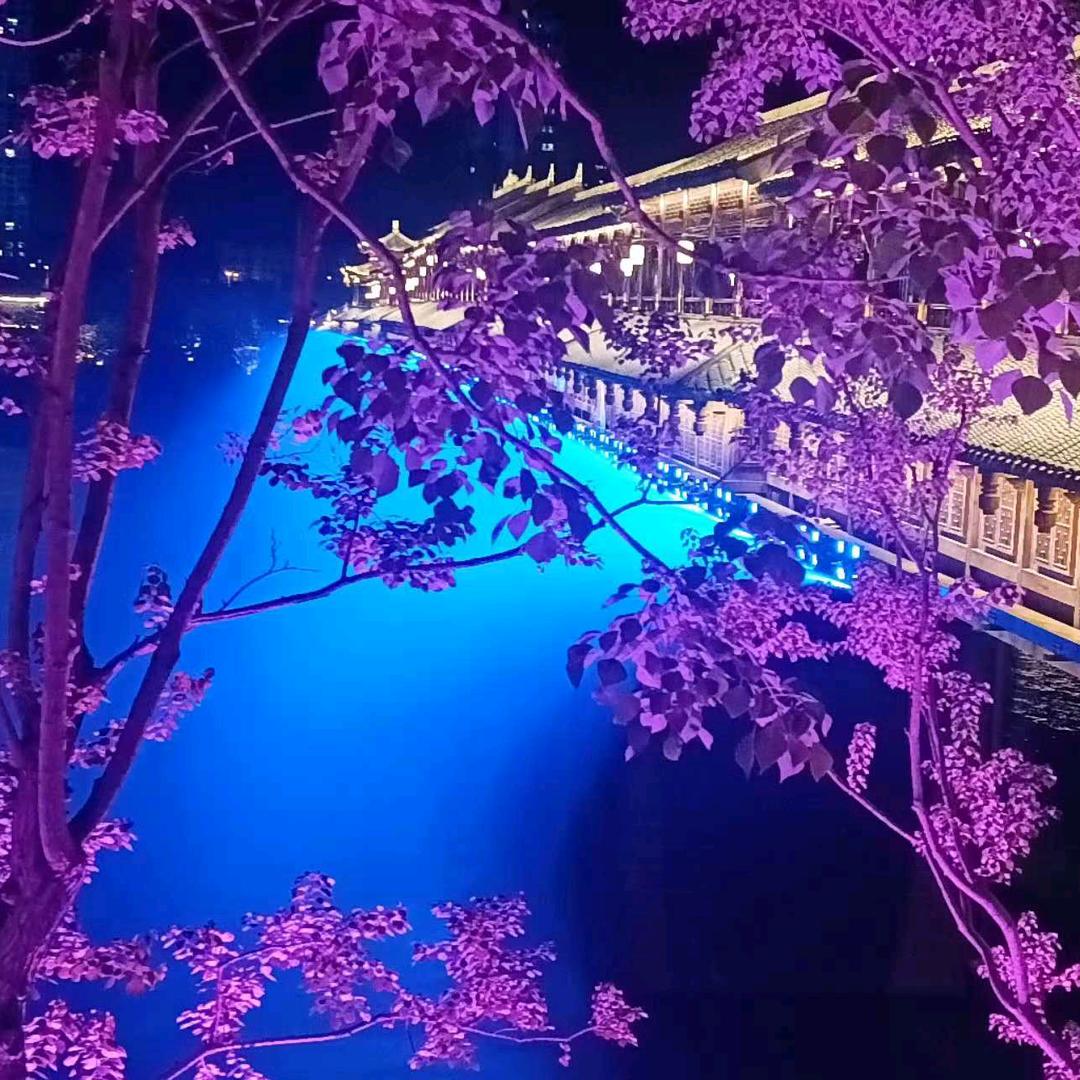 明天会更好🦋