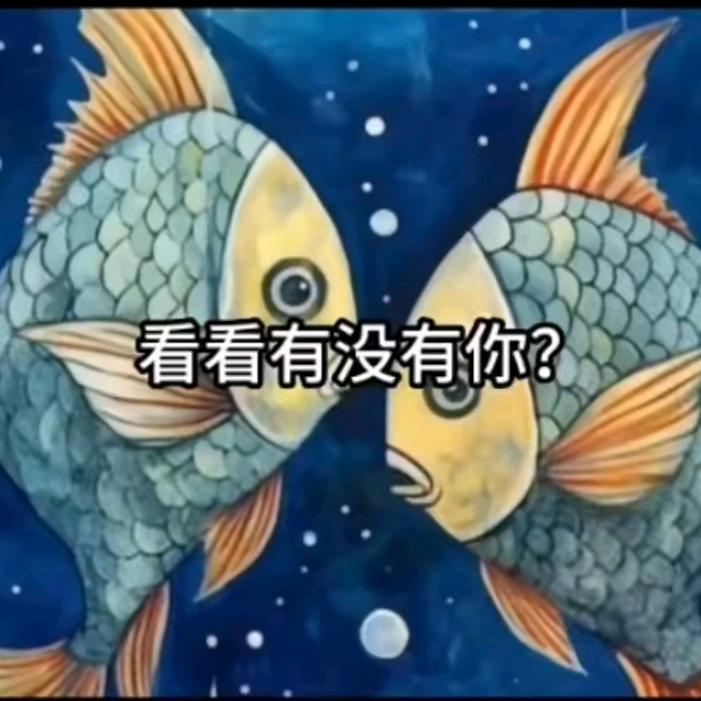 双鱼，拒绝私聊