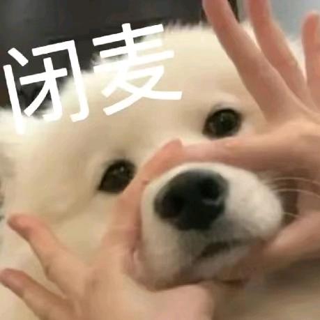 酱酱酱
