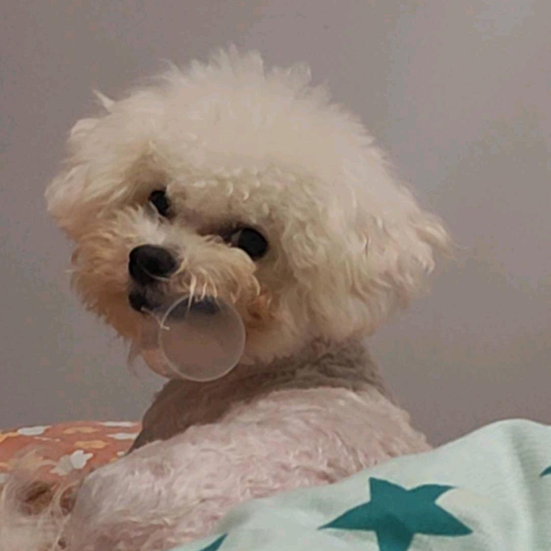 买了否冷