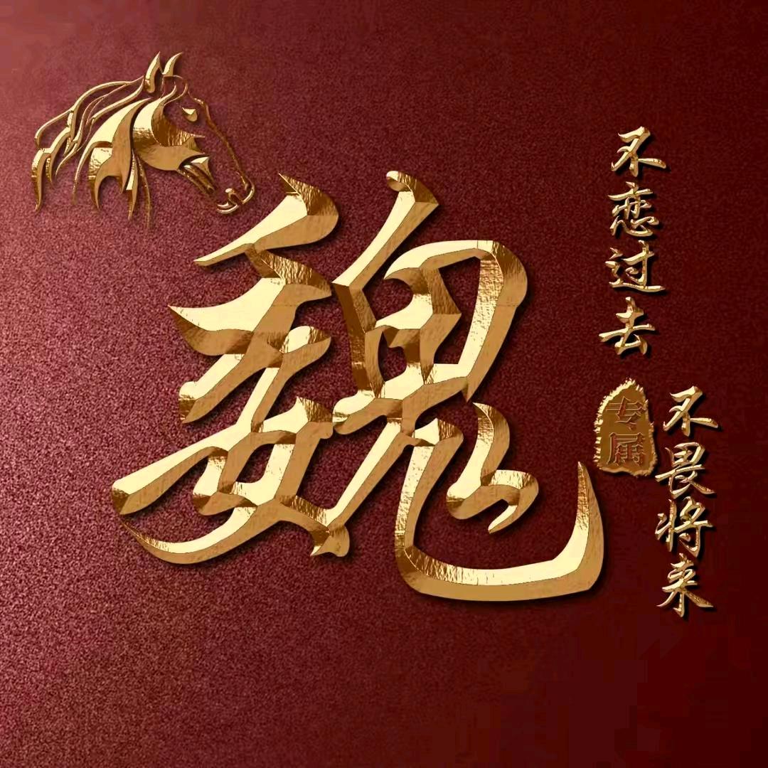 魏我独尊