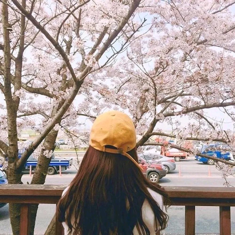 小杨爱生活