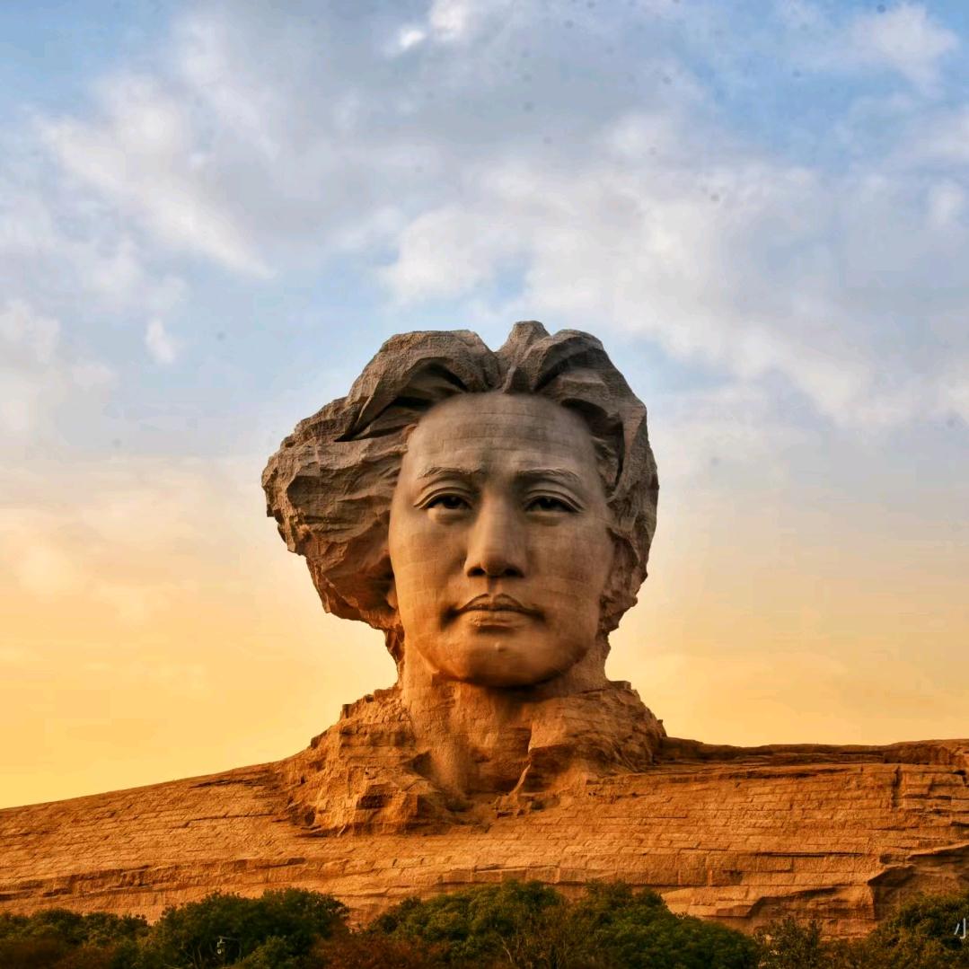 数只水舟