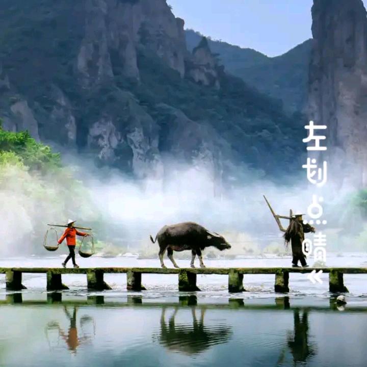 隔壁王哥来了。