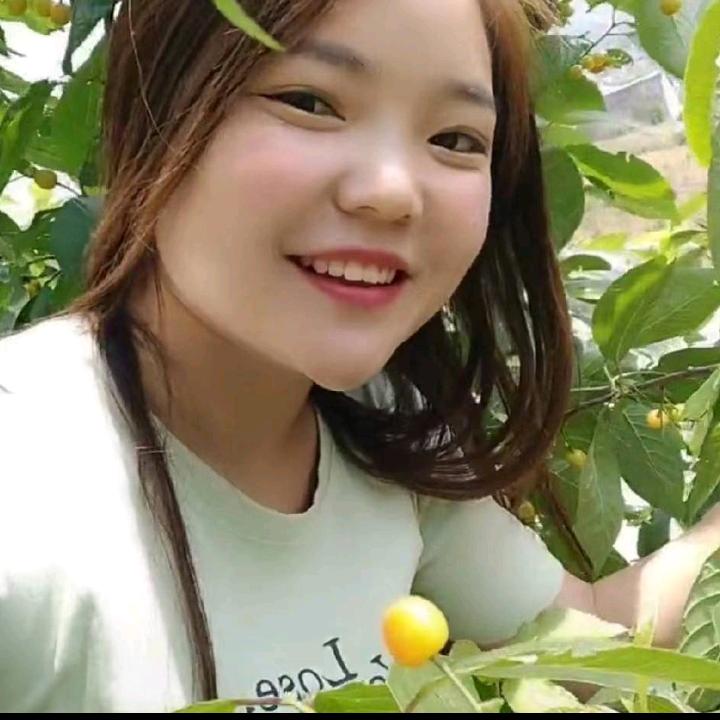 李光臣