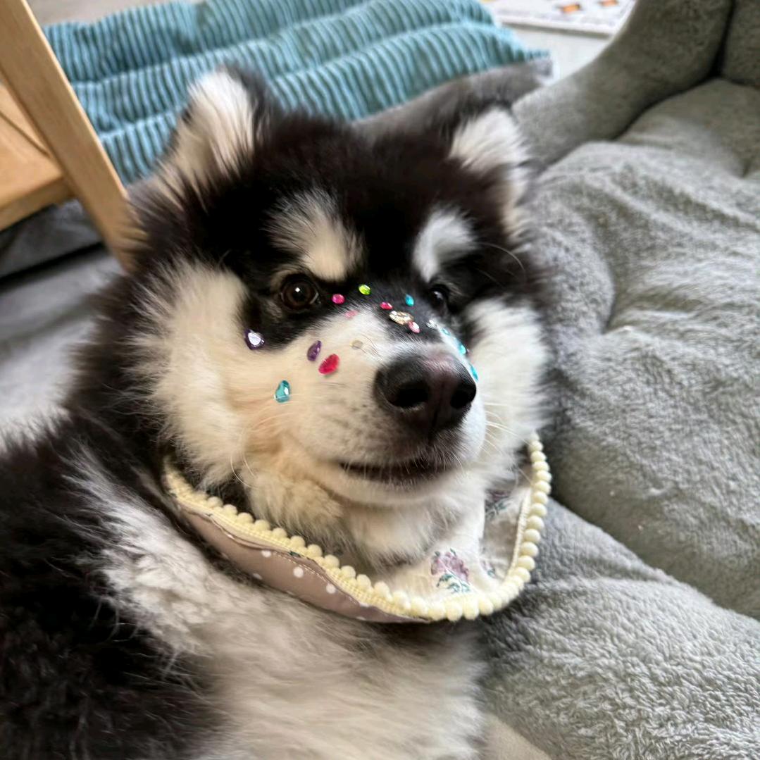 是辣辣呀