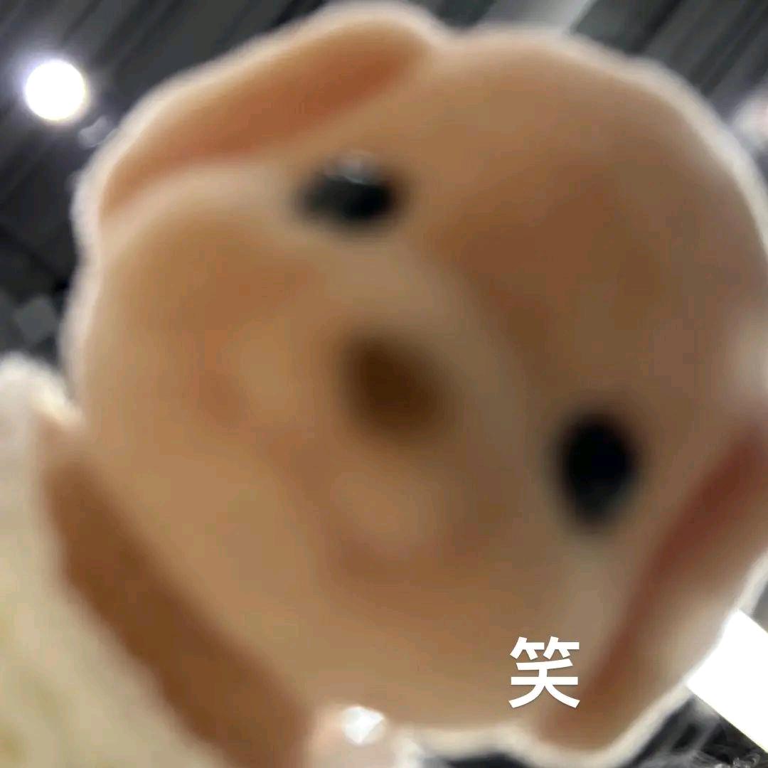 黎夏