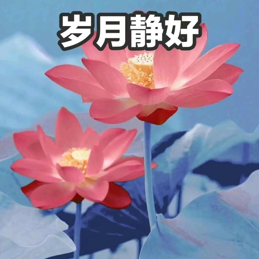 清心雅韵