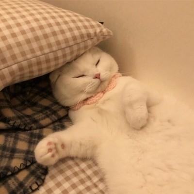 @小跳跳