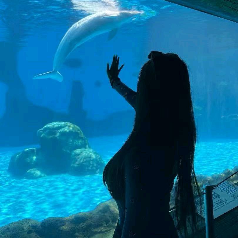 🖤