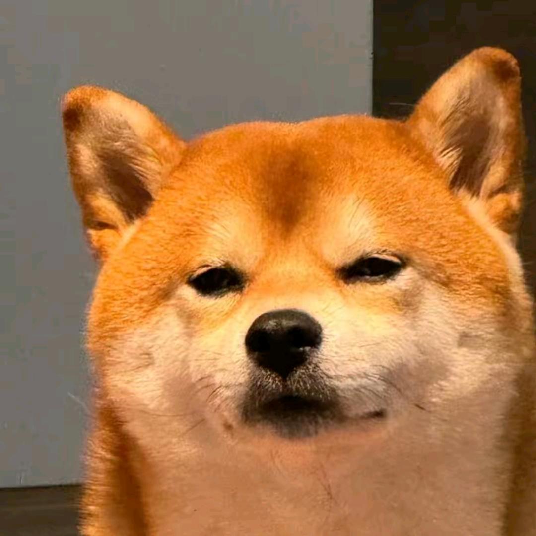 荔枝海.