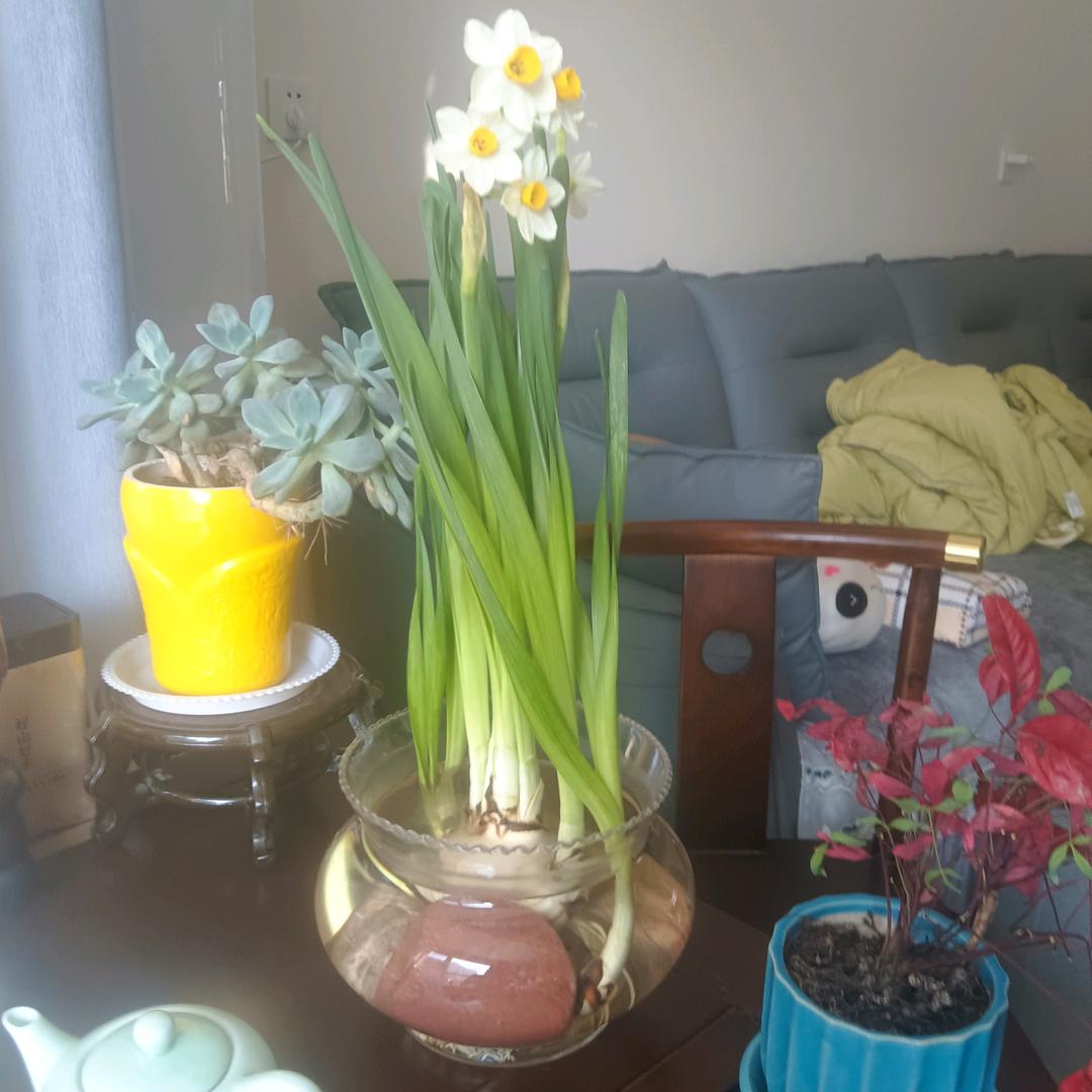 手机用户86803234555