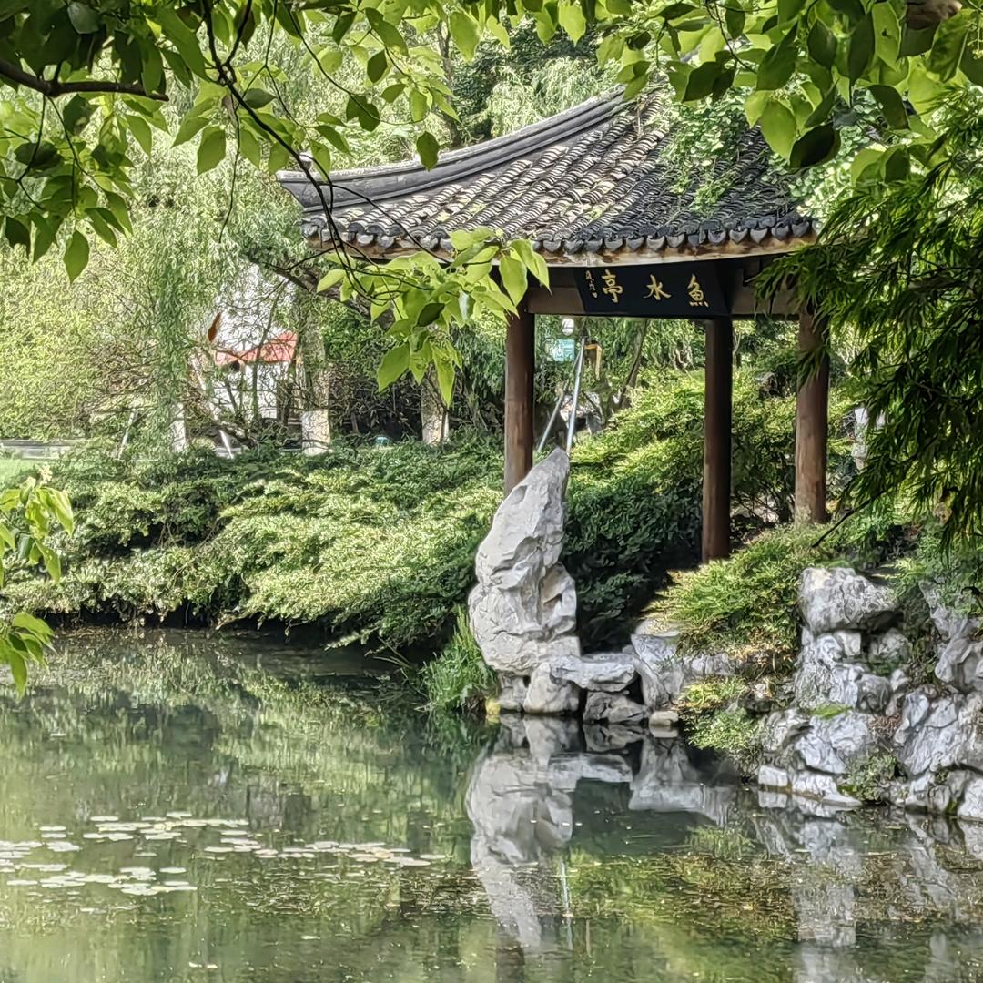 花静幽然