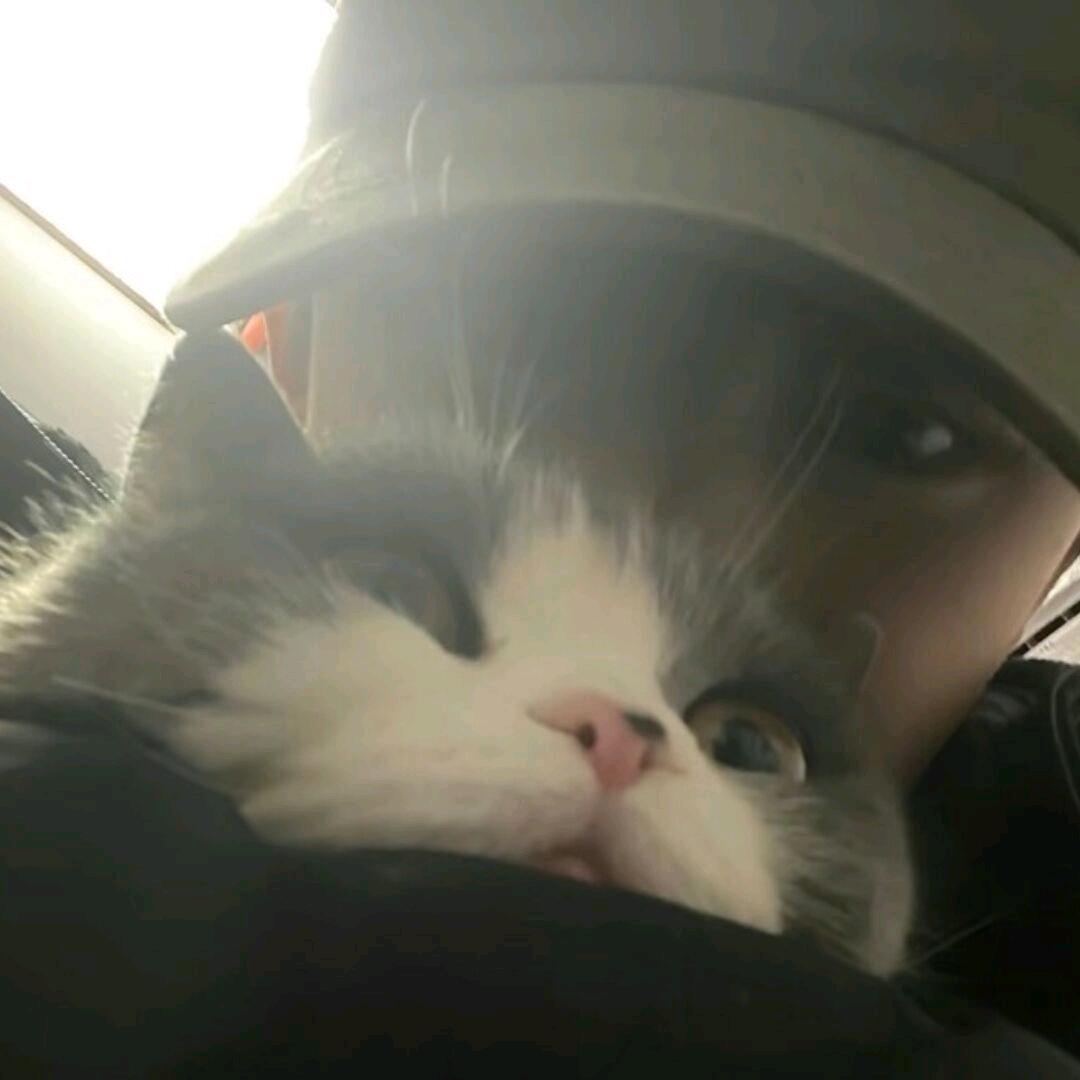 👻👻