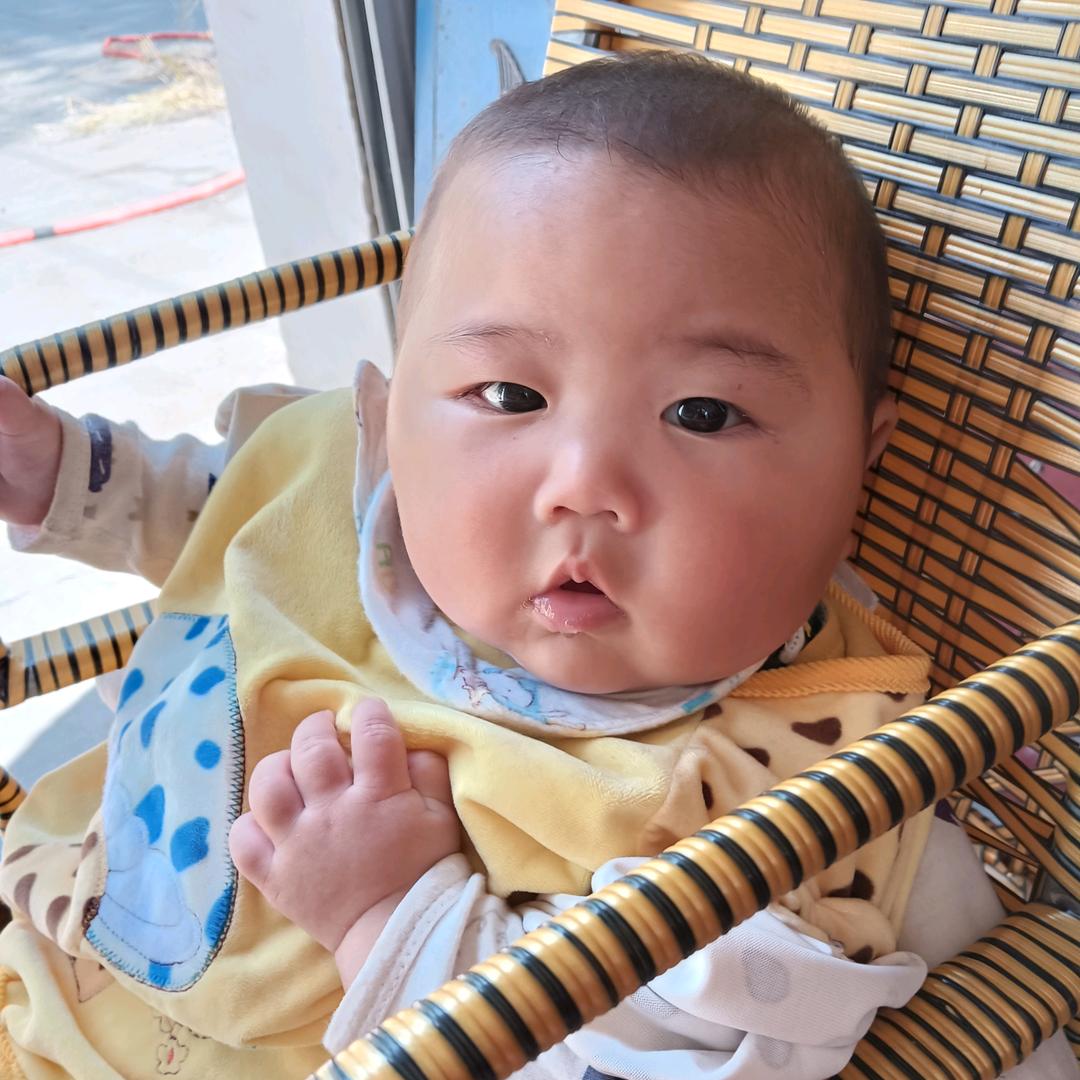 一本正经胡乱钓