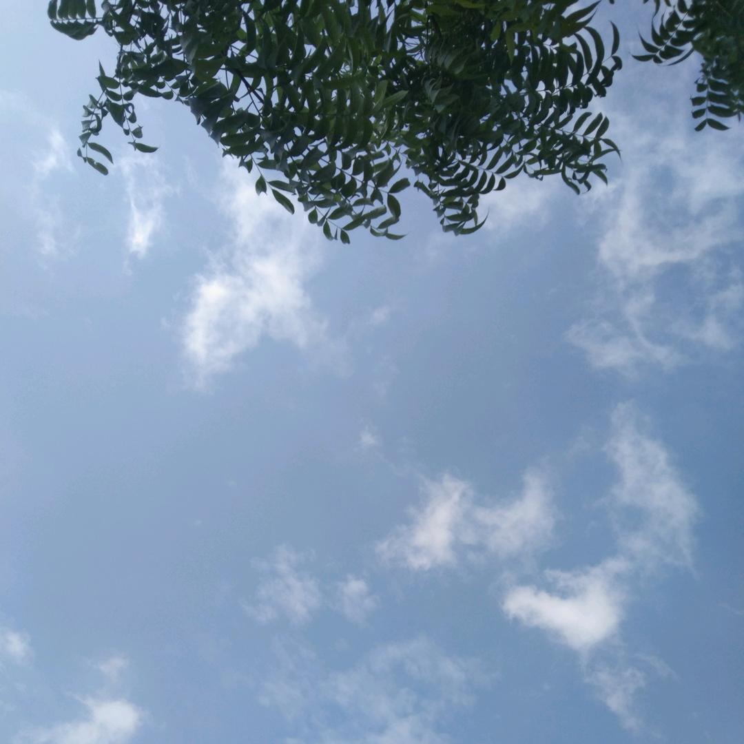 有空常来玩