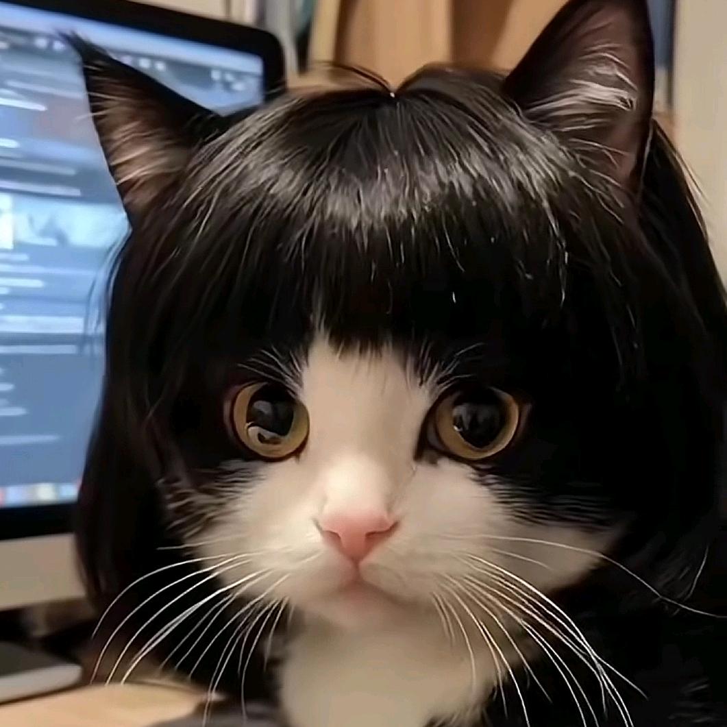 枫丹（命运方舟）