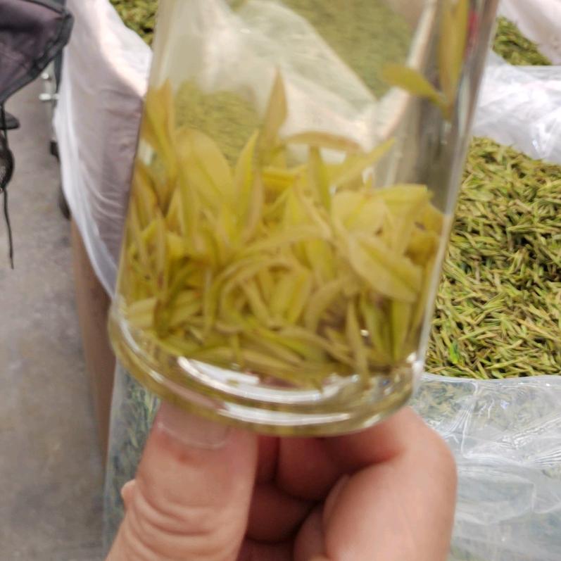 翠茗黔韵