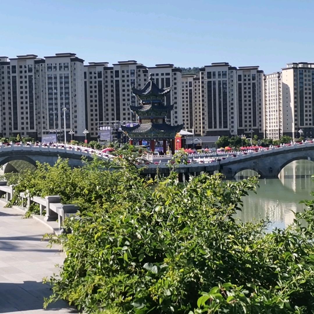 半生浮名半杯茶