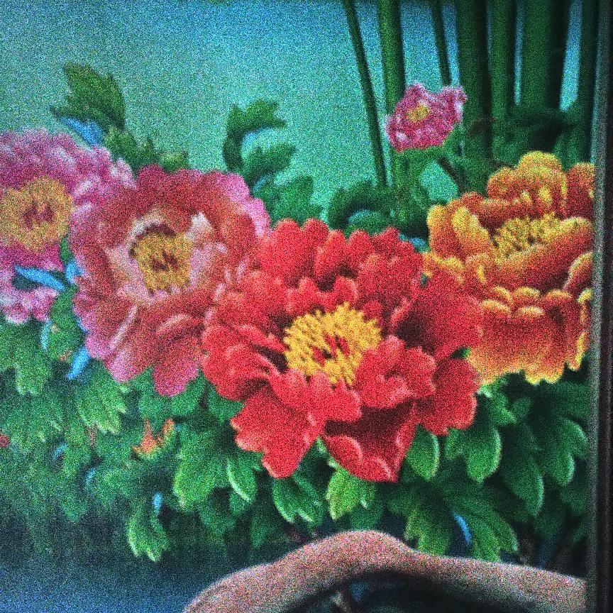 抱着手机看美女