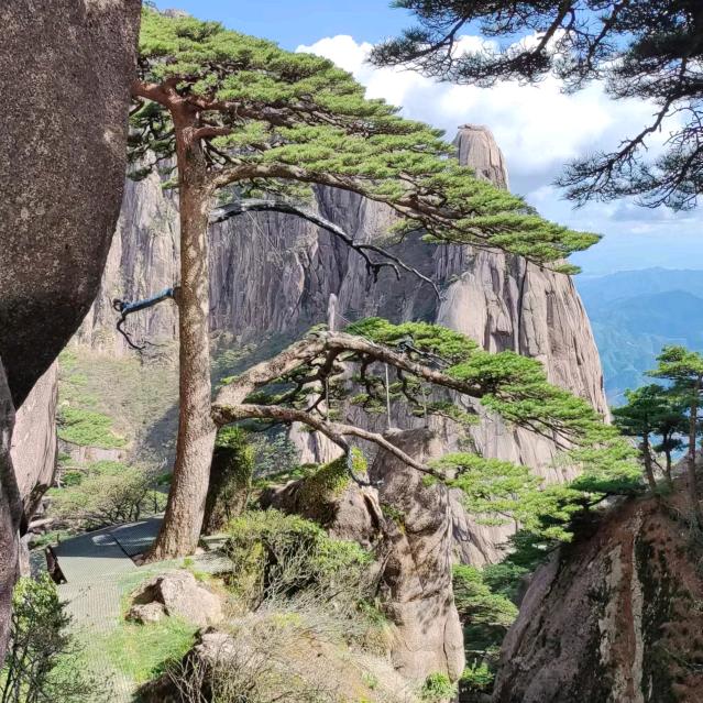 时光倒流不老