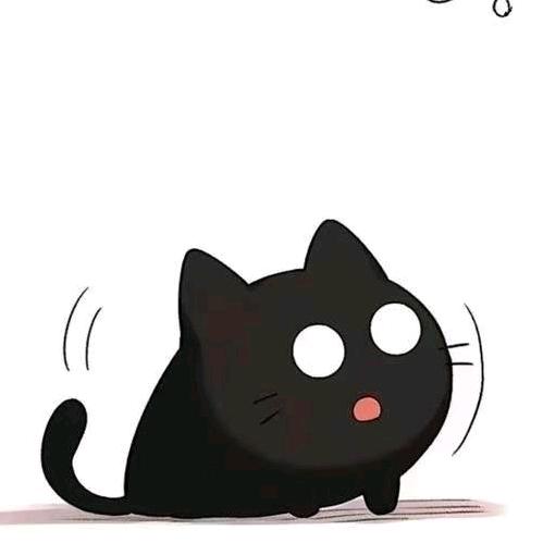 阳光总在风雨后