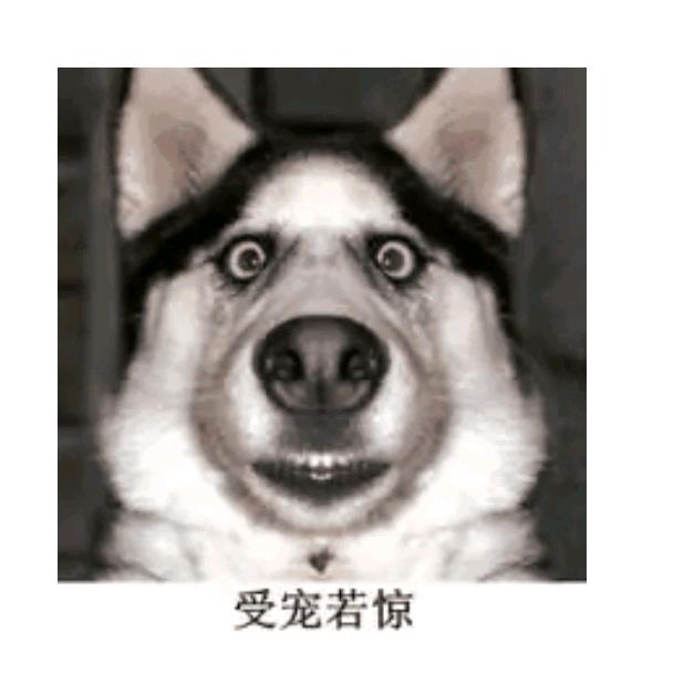 旺仔🐿️🐿🐿🐿🐿